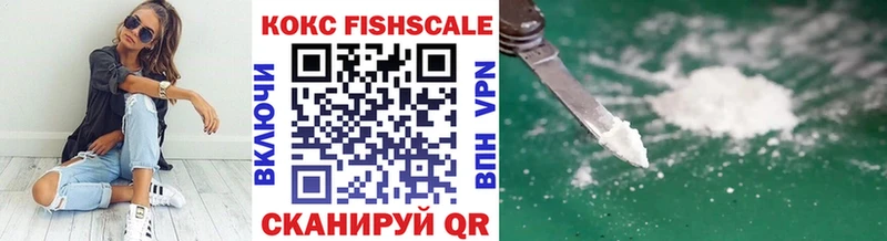 Cocaine FishScale  купить наркотик  Партизанск 