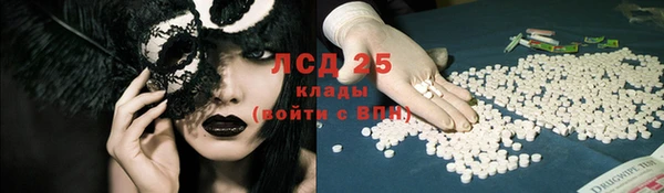 ГАЛЛЮЦИНОГЕННЫЕ ГРИБЫ Вязьма