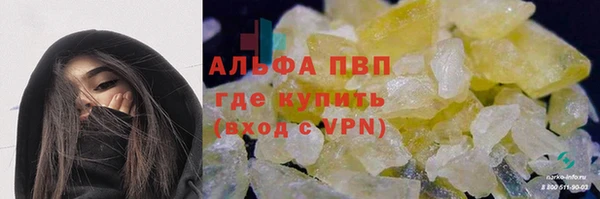 ГАЛЛЮЦИНОГЕННЫЕ ГРИБЫ Вязьма
