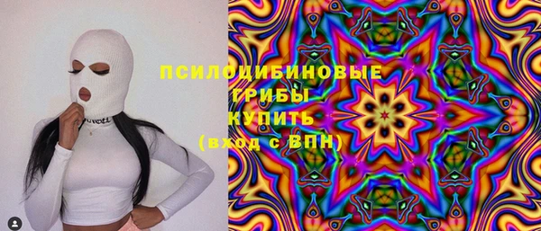 ГАЛЛЮЦИНОГЕННЫЕ ГРИБЫ Вязьма