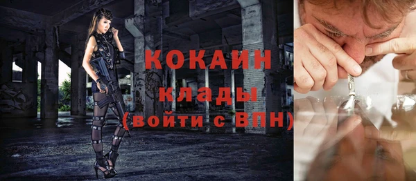 ГАЛЛЮЦИНОГЕННЫЕ ГРИБЫ Вязьма