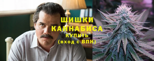 MESCALINE Вяземский